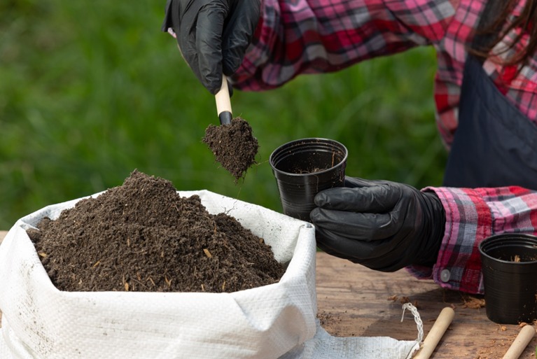 Organic Fertilizers For Plants – Devamrut Agrotech